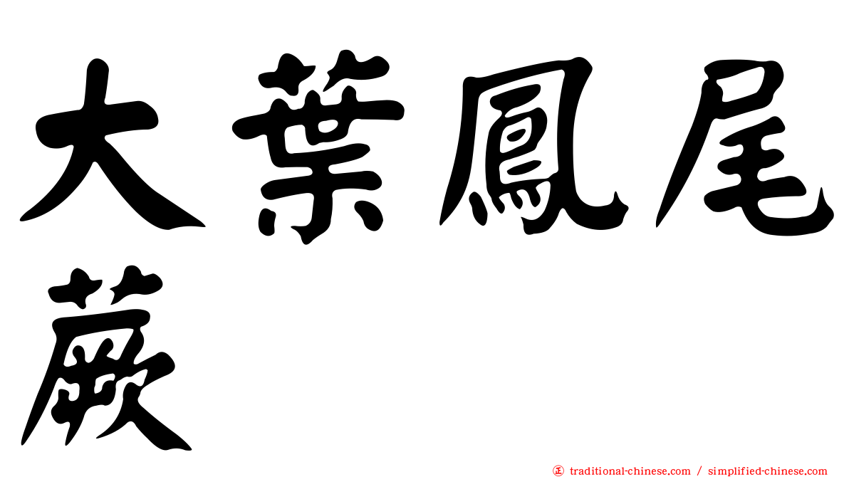 大葉鳳尾蕨