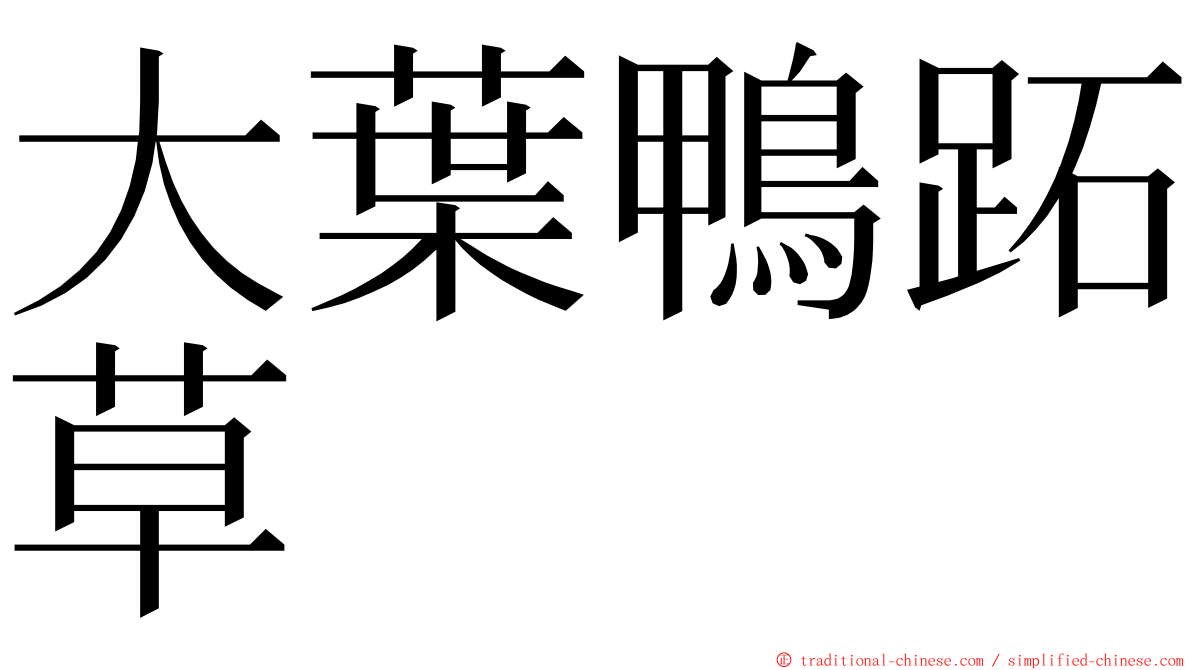 大葉鴨跖草 ming font