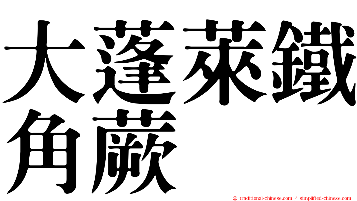 大蓬萊鐵角蕨