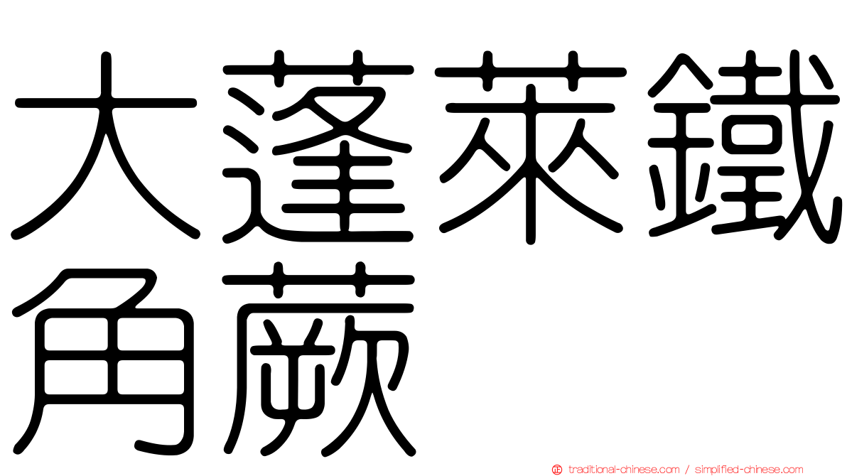 大蓬萊鐵角蕨
