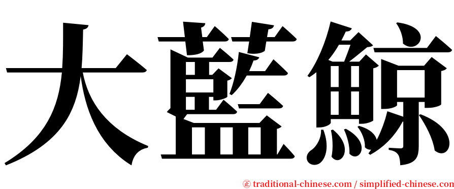 大藍鯨 serif font