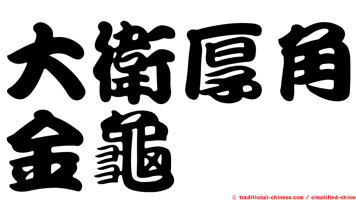 大衛厚角金龜
