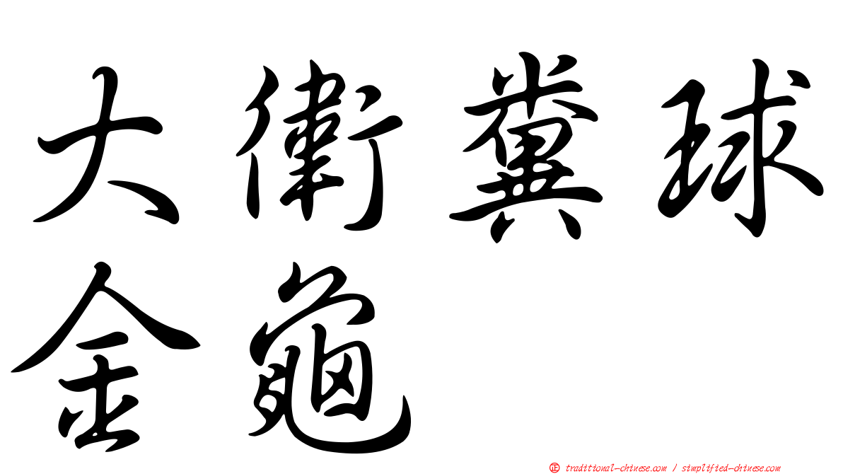 大衛糞球金龜