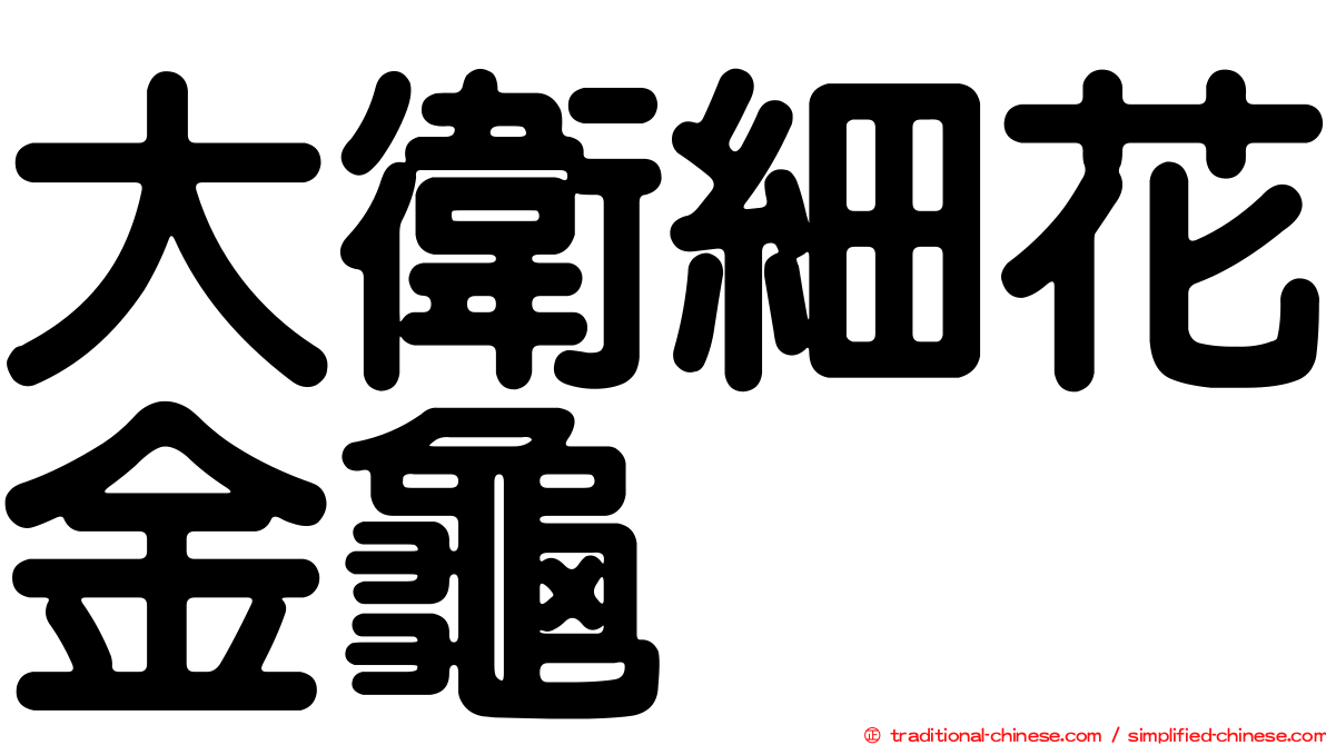 大衛細花金龜