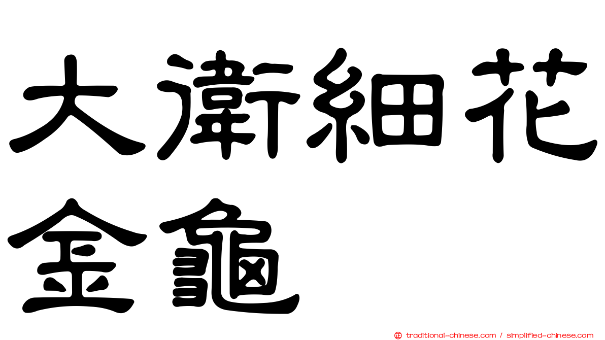 大衛細花金龜