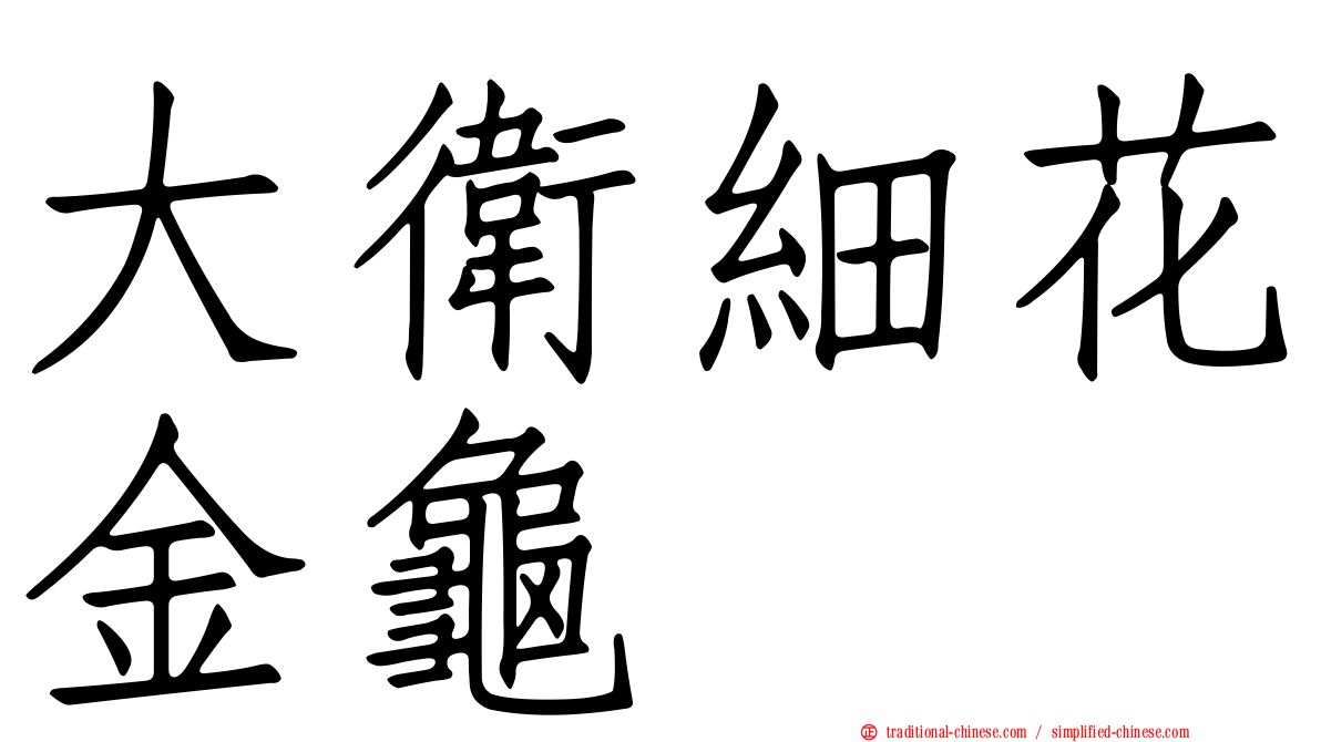 大衛細花金龜