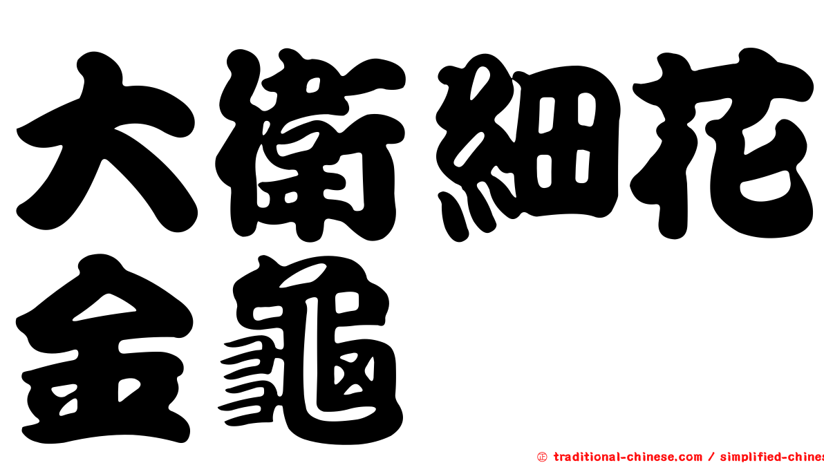 大衛細花金龜