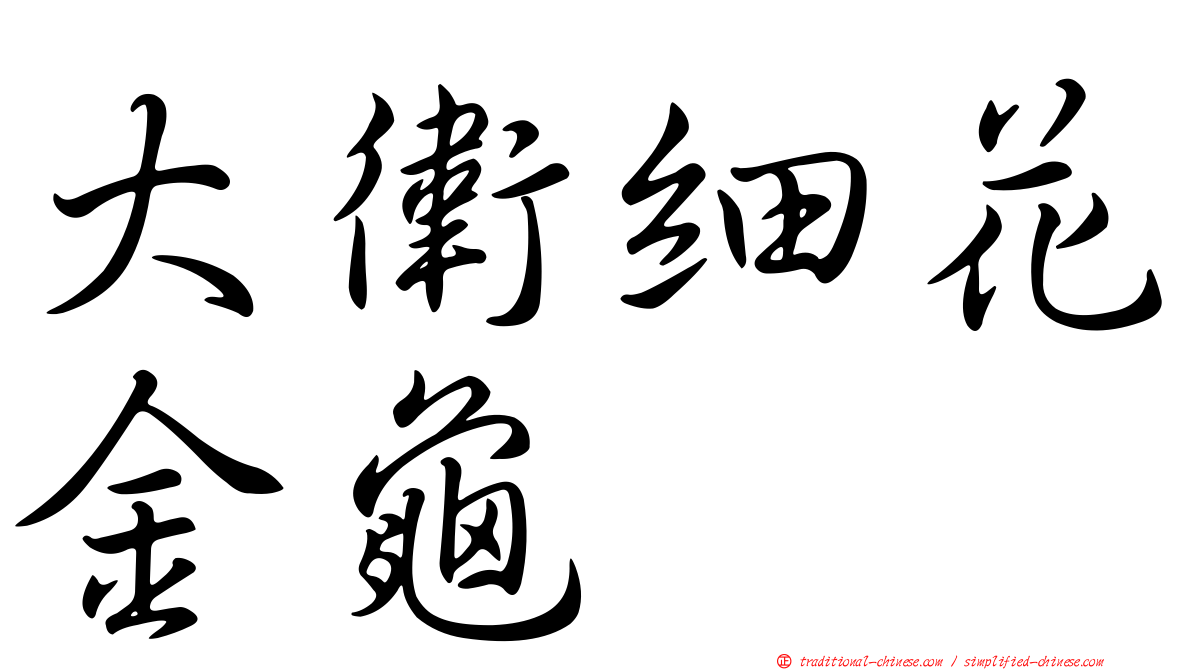 大衛細花金龜