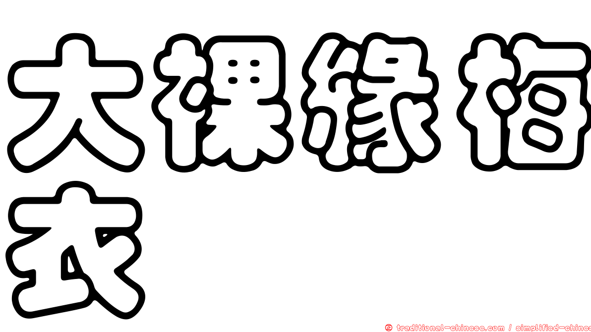 大裸緣梅衣