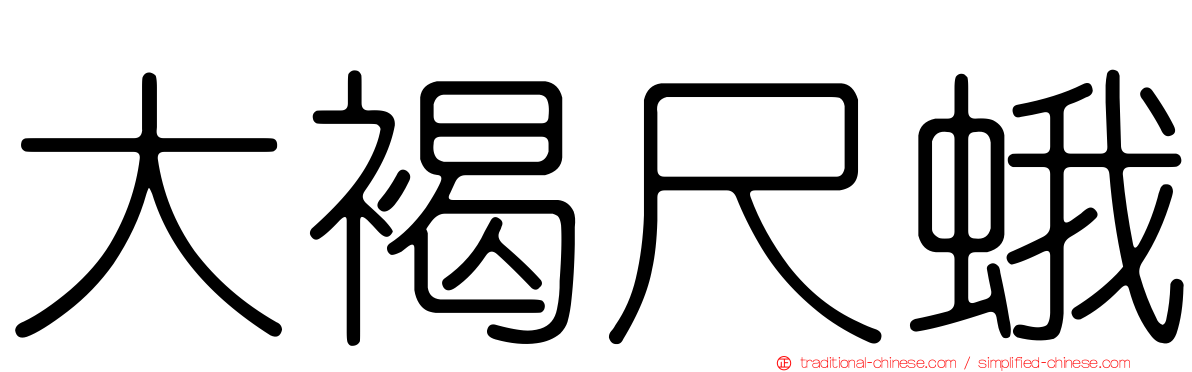 大褐尺蛾