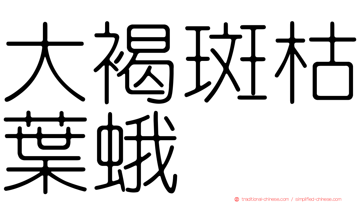 大褐斑枯葉蛾