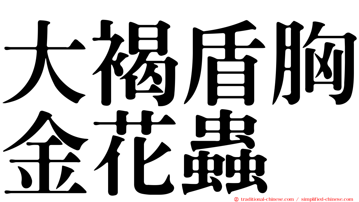 大褐盾胸金花蟲