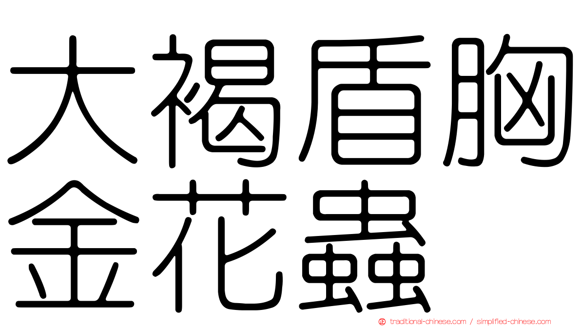 大褐盾胸金花蟲