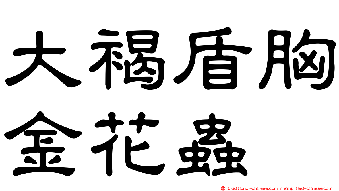 大褐盾胸金花蟲