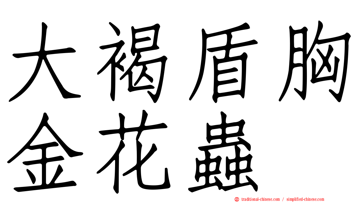 大褐盾胸金花蟲