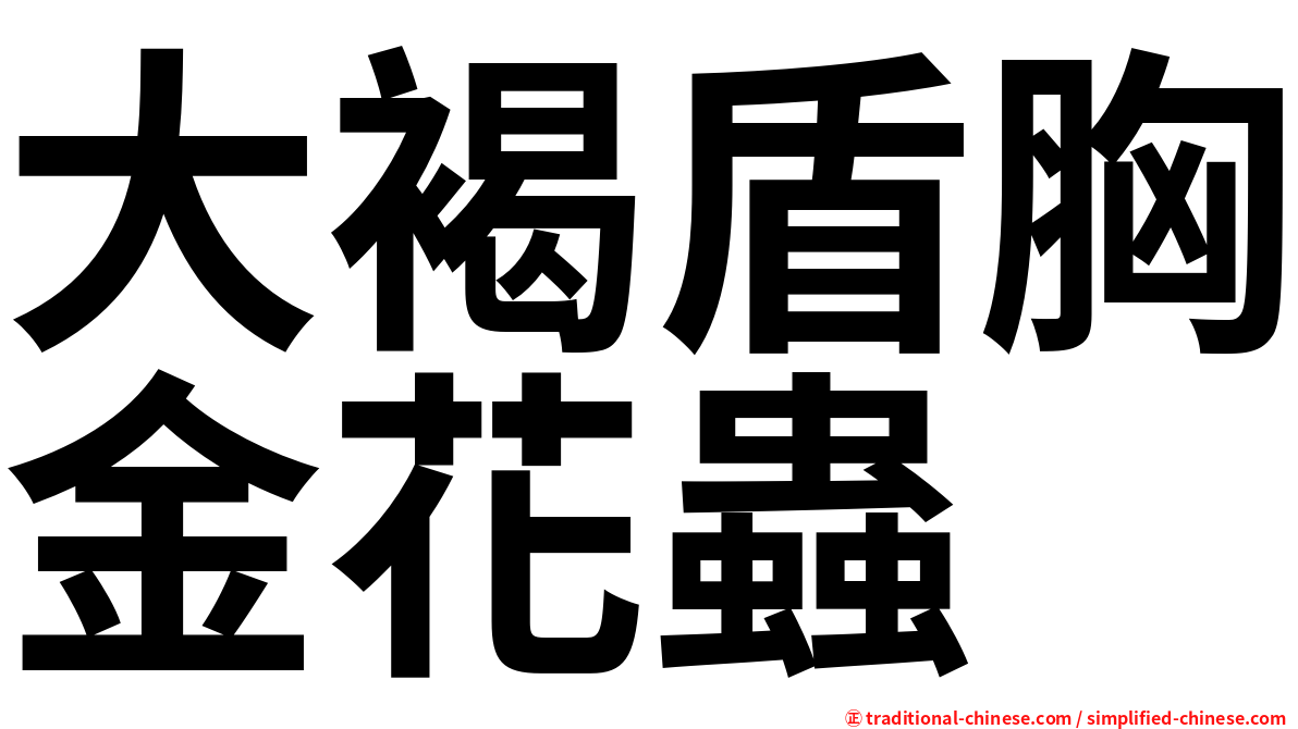 大褐盾胸金花蟲