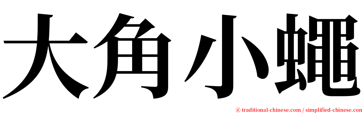 大角小蠅 serif font