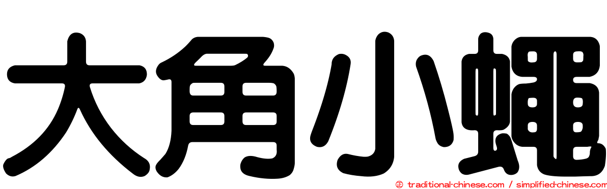 大角小蠅