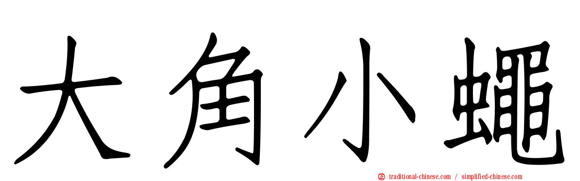 大角小蠅
