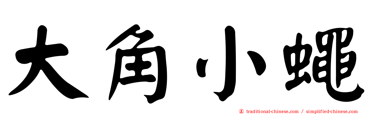 大角小蠅