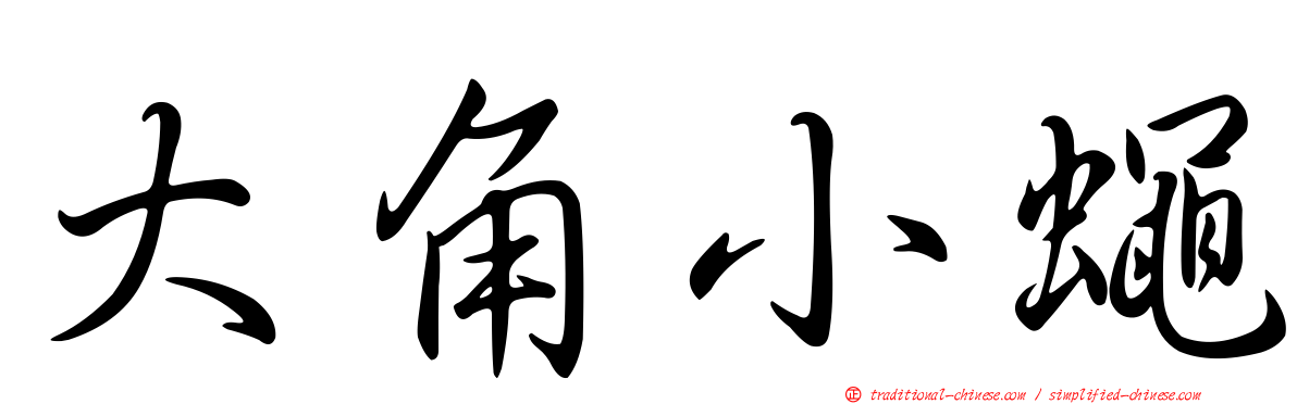 大角小蠅