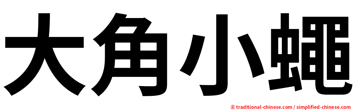 大角小蠅