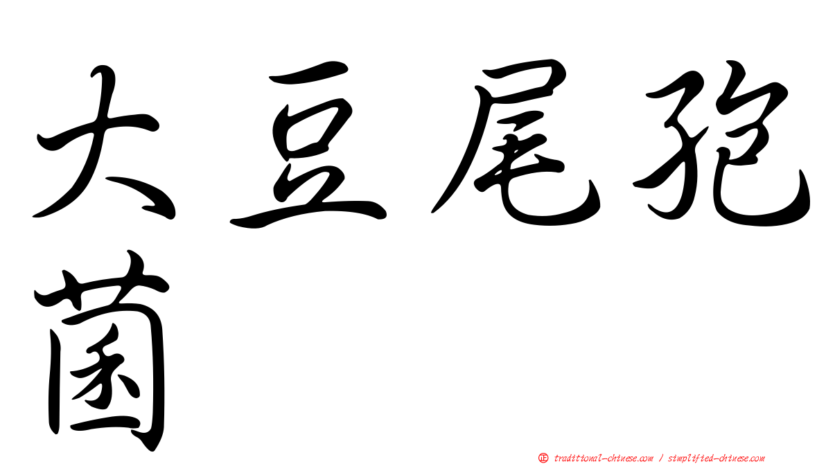 大豆尾孢菌