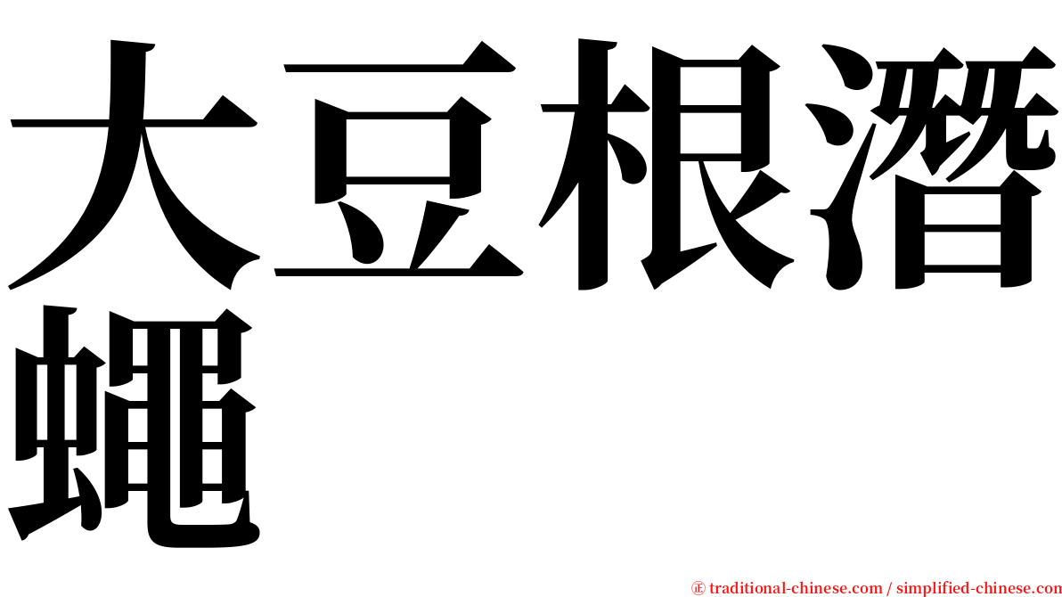 大豆根潛蠅 serif font