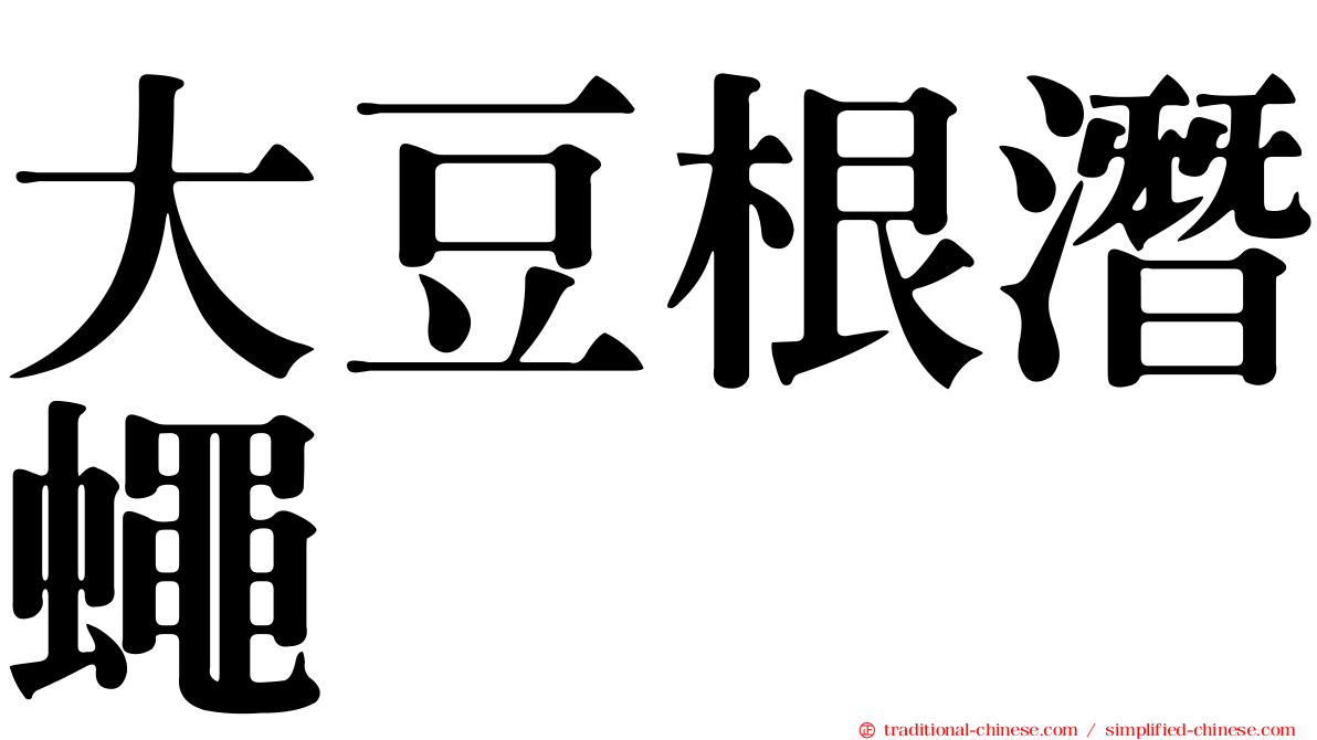大豆根潛蠅