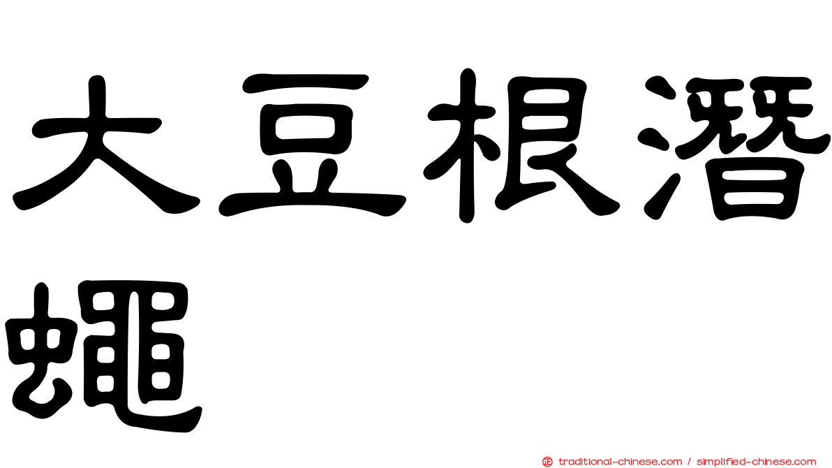 大豆根潛蠅