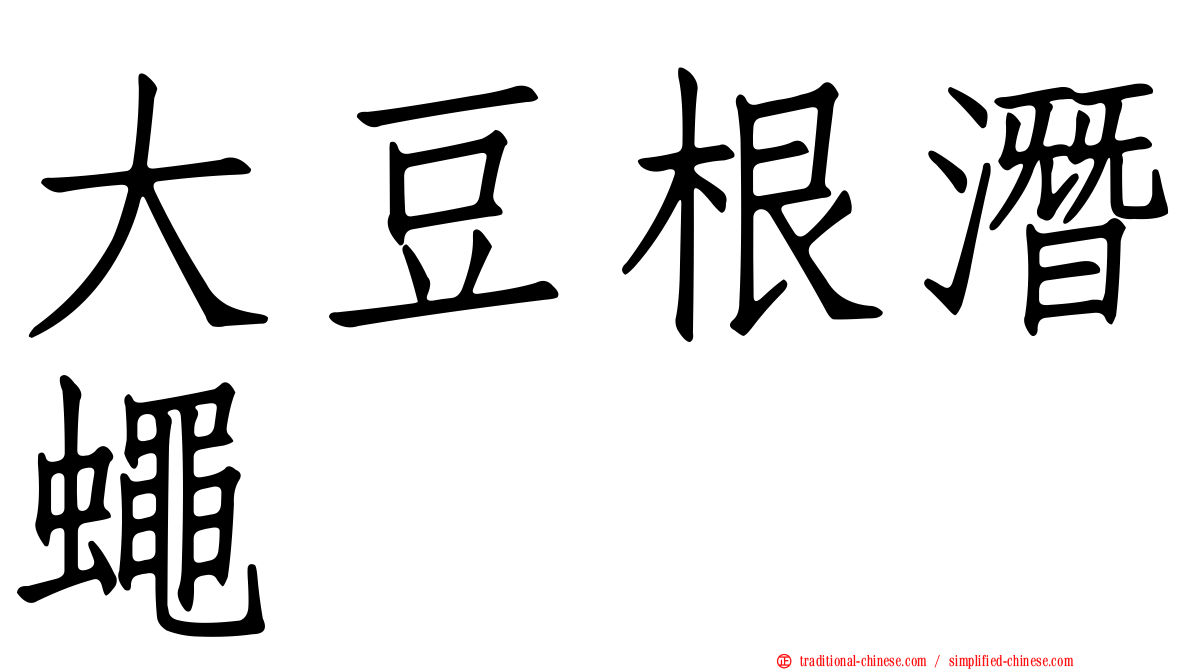 大豆根潛蠅