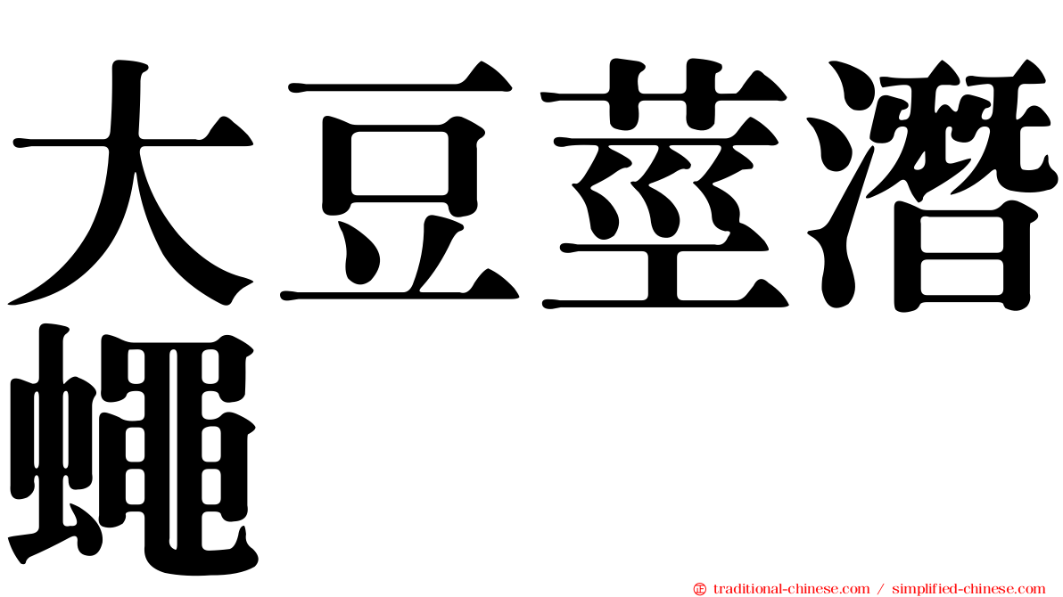 大豆莖潛蠅