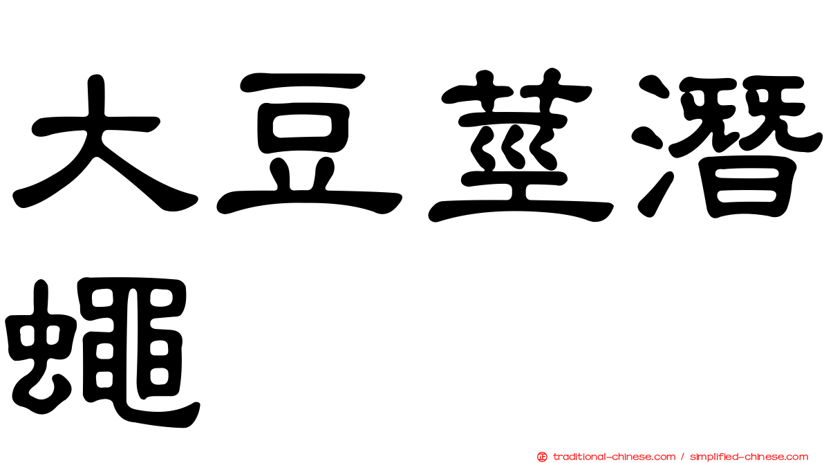 大豆莖潛蠅