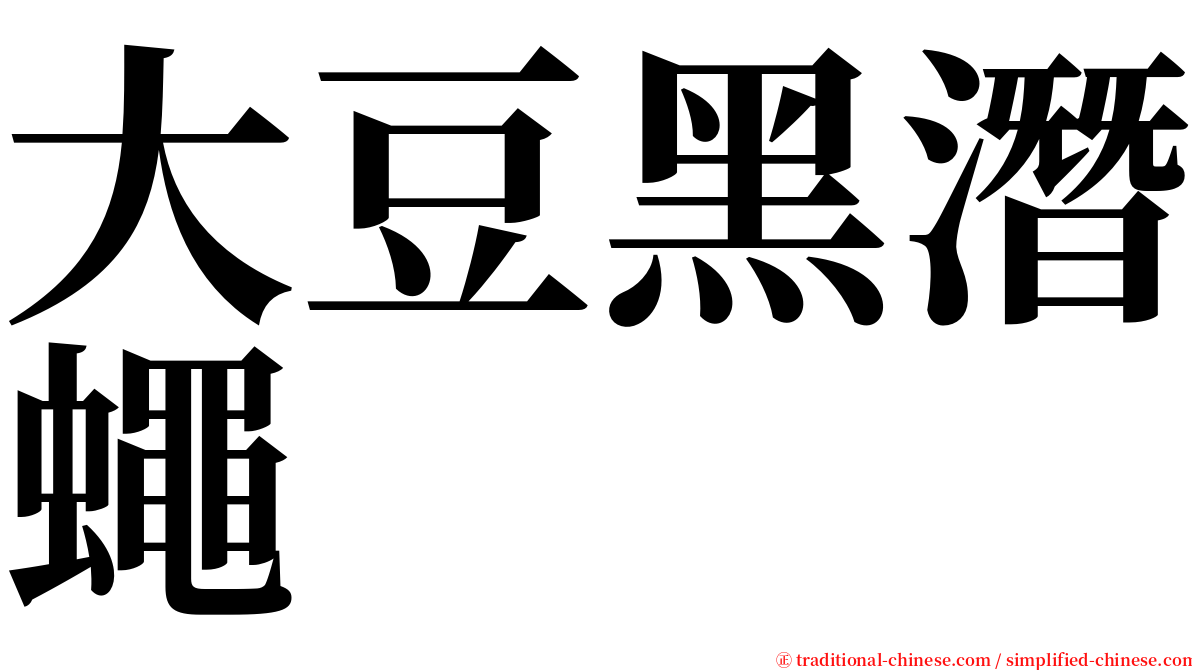 大豆黑潛蠅 serif font