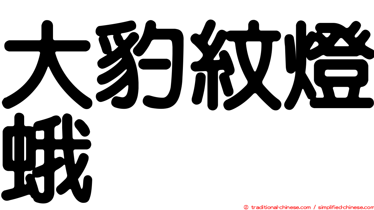 大豹紋燈蛾