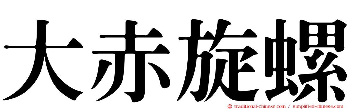 大赤旋螺