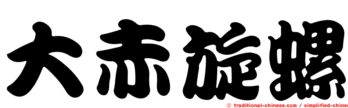 大赤旋螺
