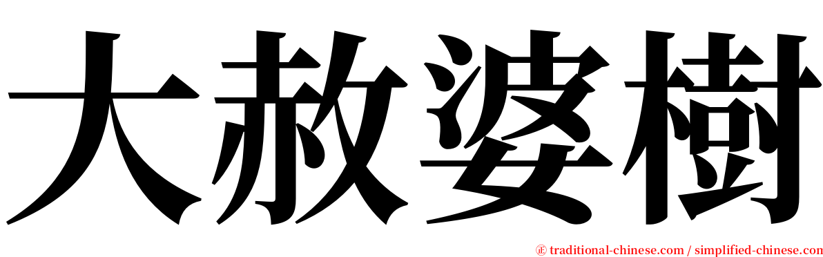 大赦婆樹 serif font