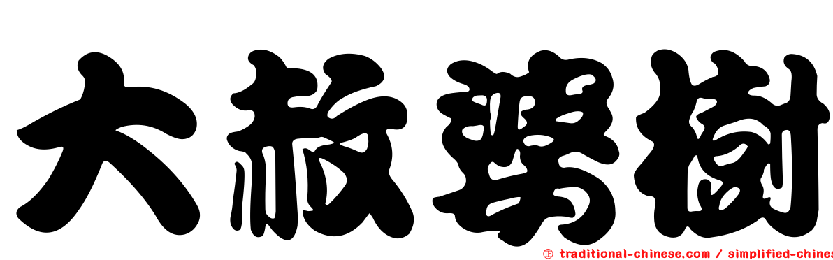 大赦婆樹
