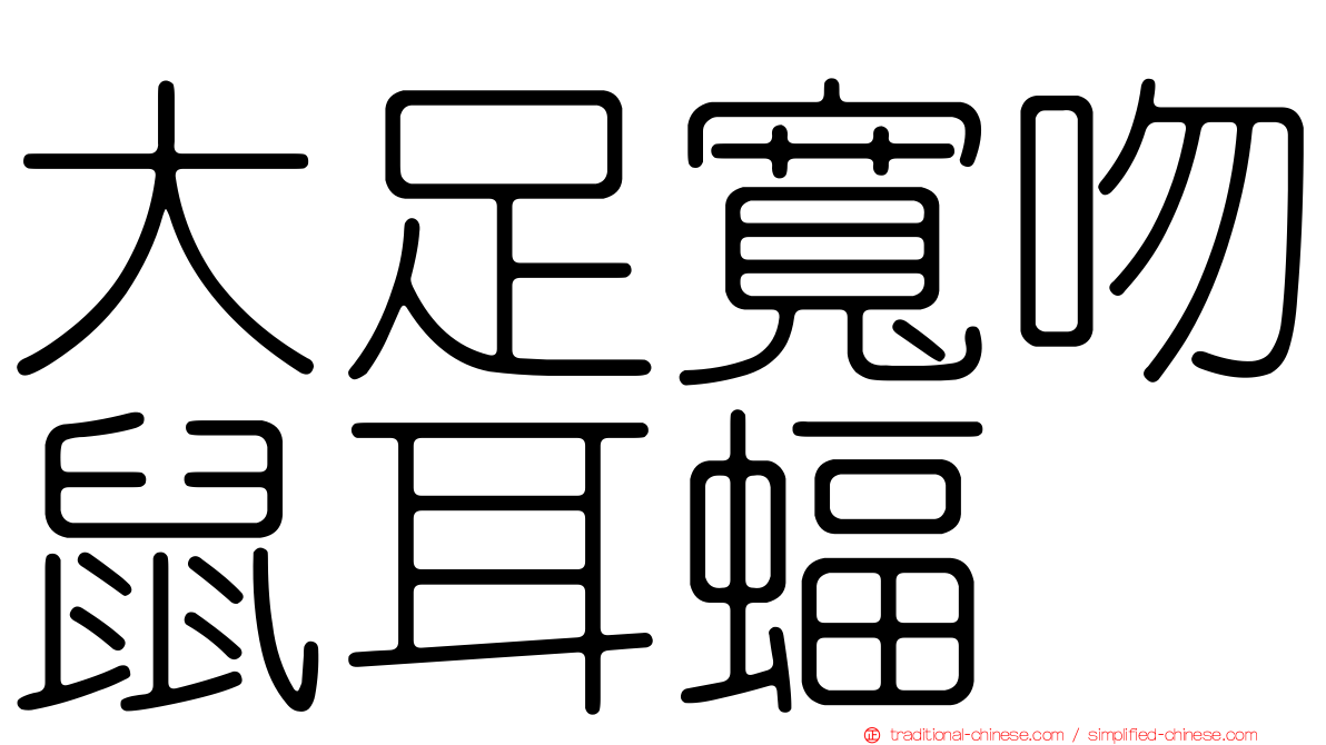 大足寬吻鼠耳蝠