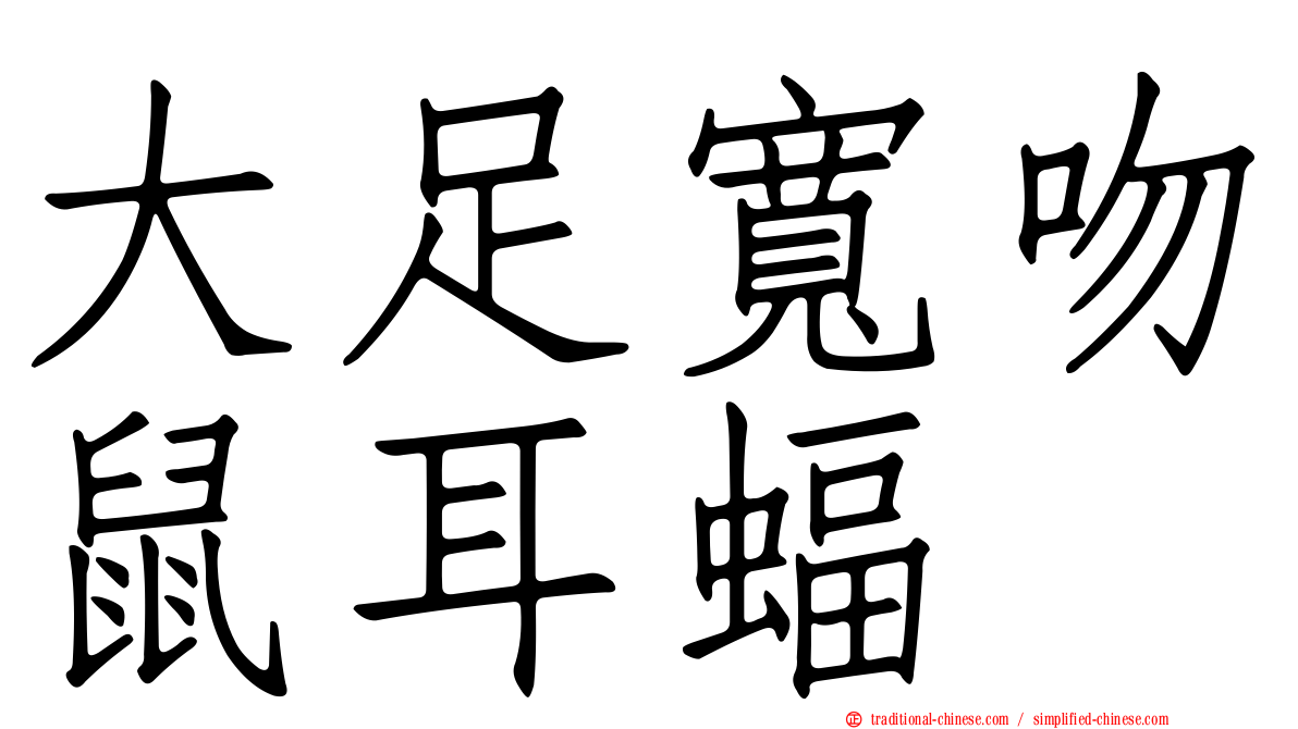 大足寬吻鼠耳蝠