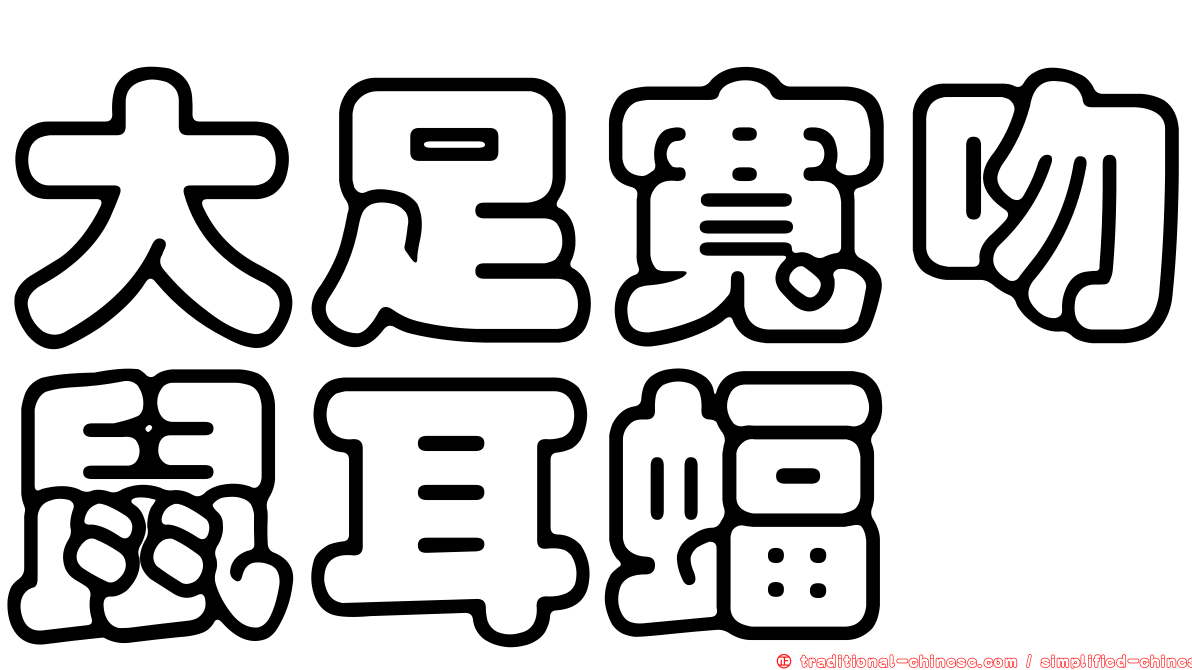 大足寬吻鼠耳蝠