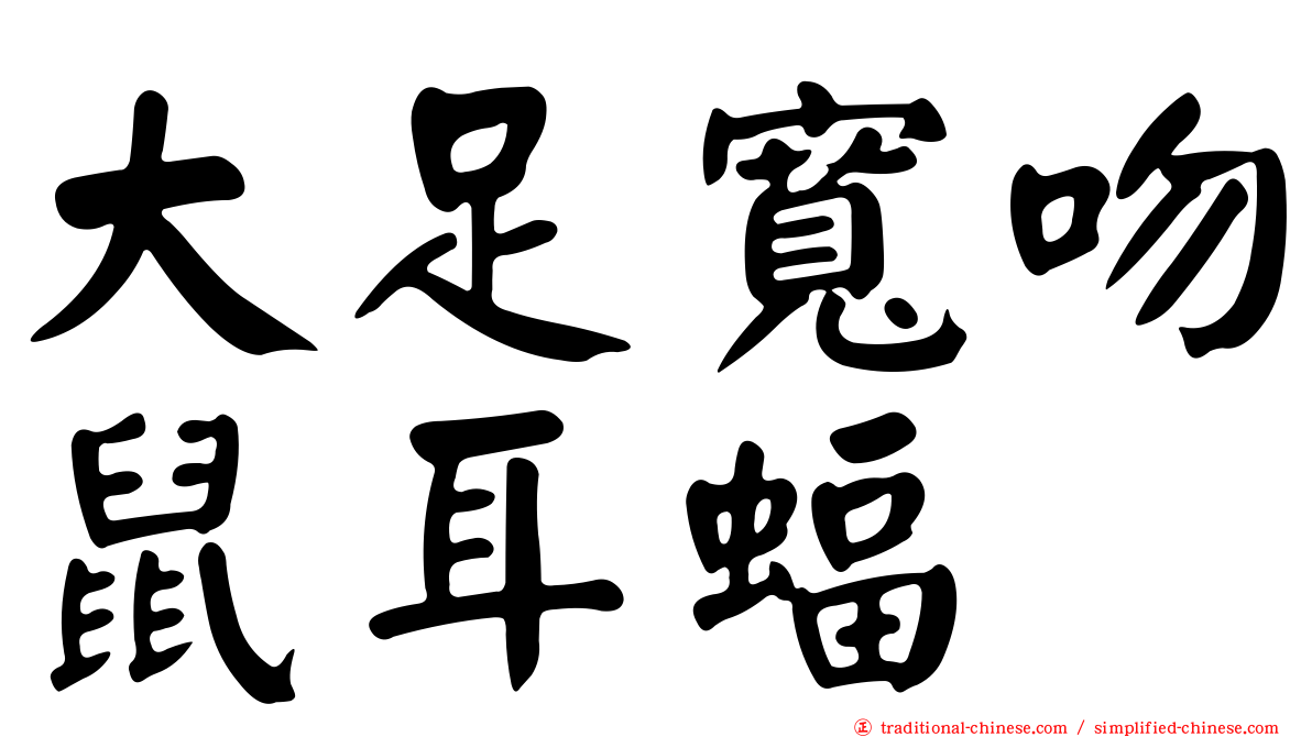 大足寬吻鼠耳蝠