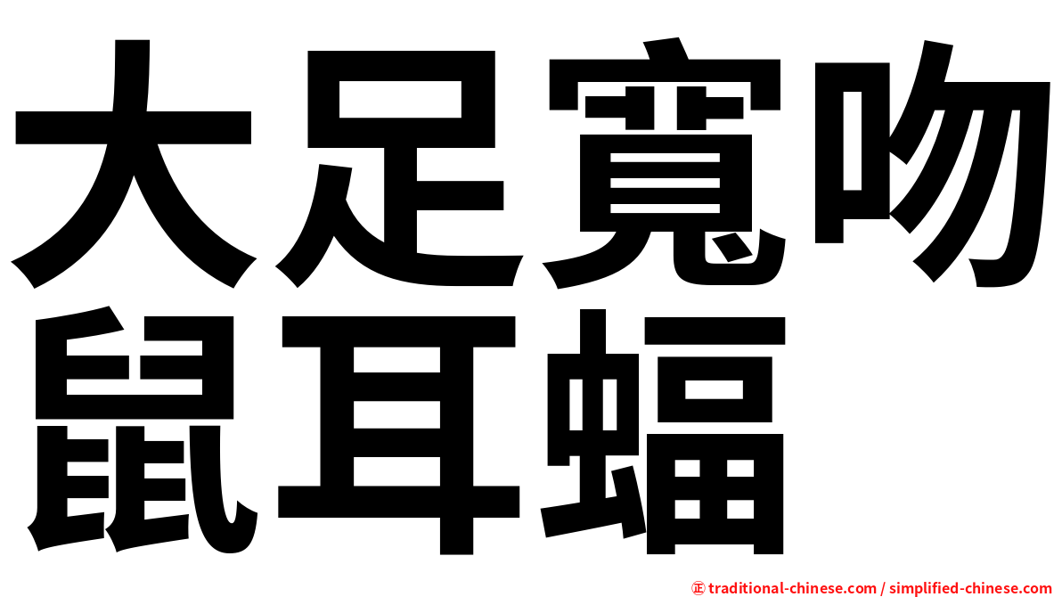 大足寬吻鼠耳蝠