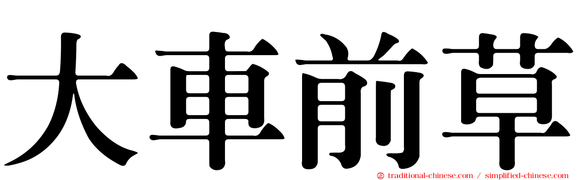 大車前草