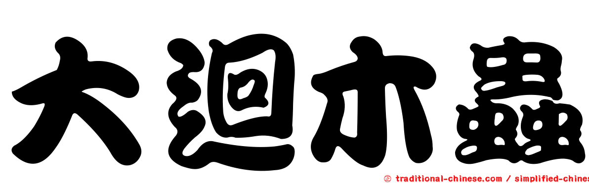 大迴木蟲