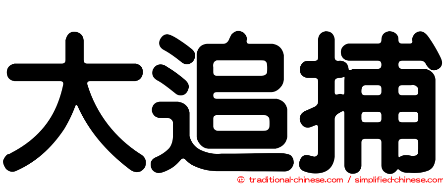大追捕