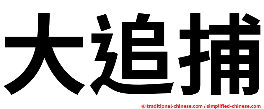 大追捕