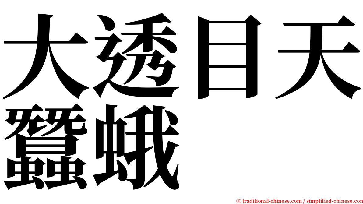 大透目天蠶蛾 serif font