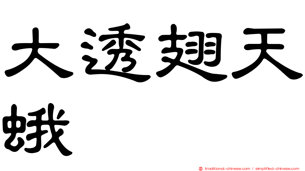 大透翅天蛾